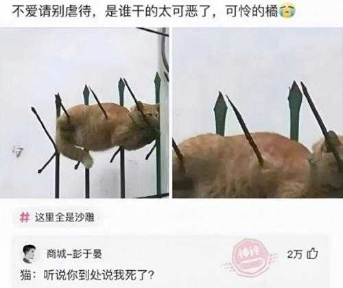 好久没看白丝了提提神 囧图 认识的人多了就更喜欢狗